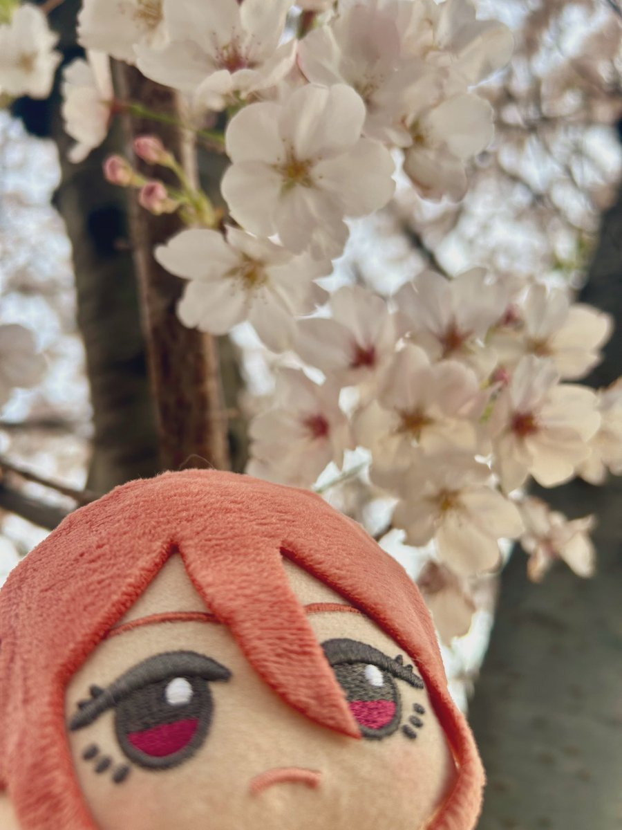 ぼぼべ tweet media