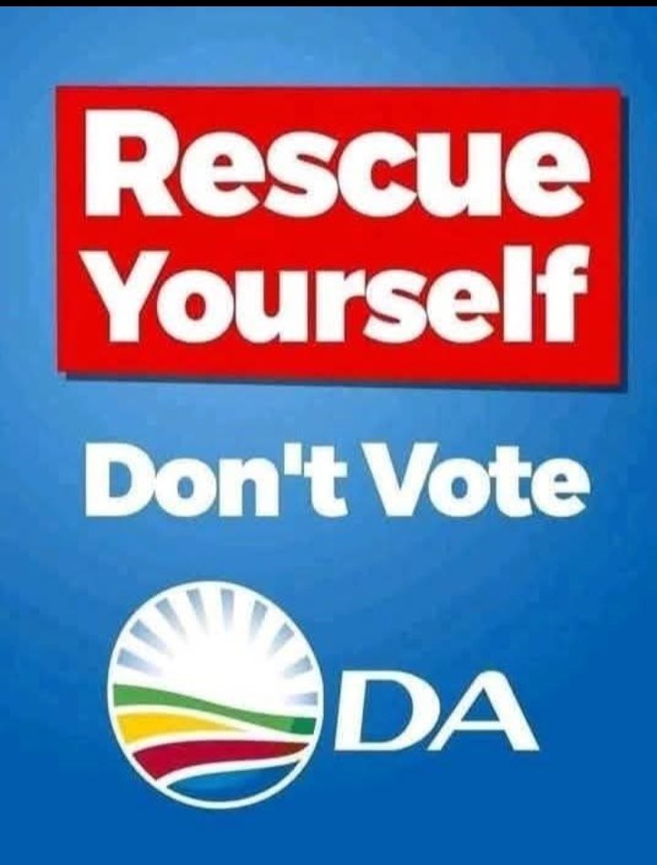 South African 🇿🇦 tweet media