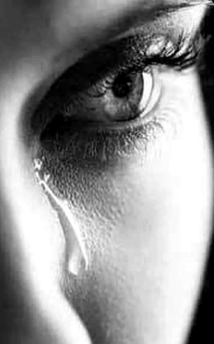 𝓓𝓻𝓮𝓪𝓶 tweet media