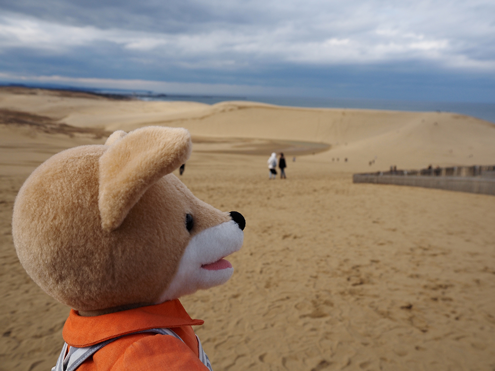 とものま|福音館のWebマガジン tweet media