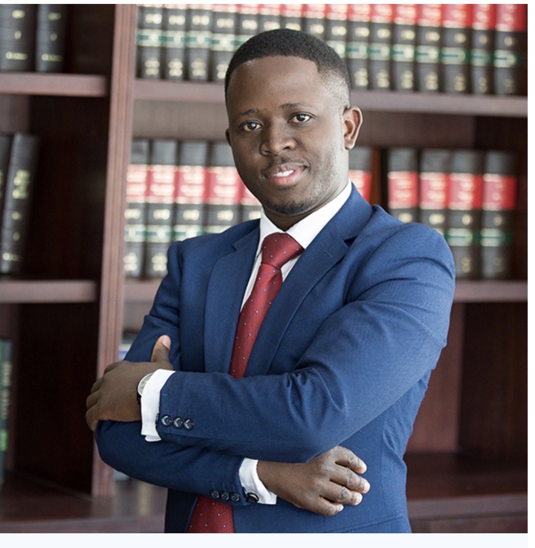 Sunflower tweet media