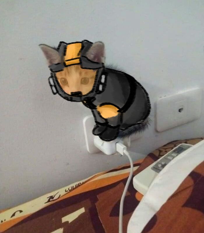 adrian☆ tweet media