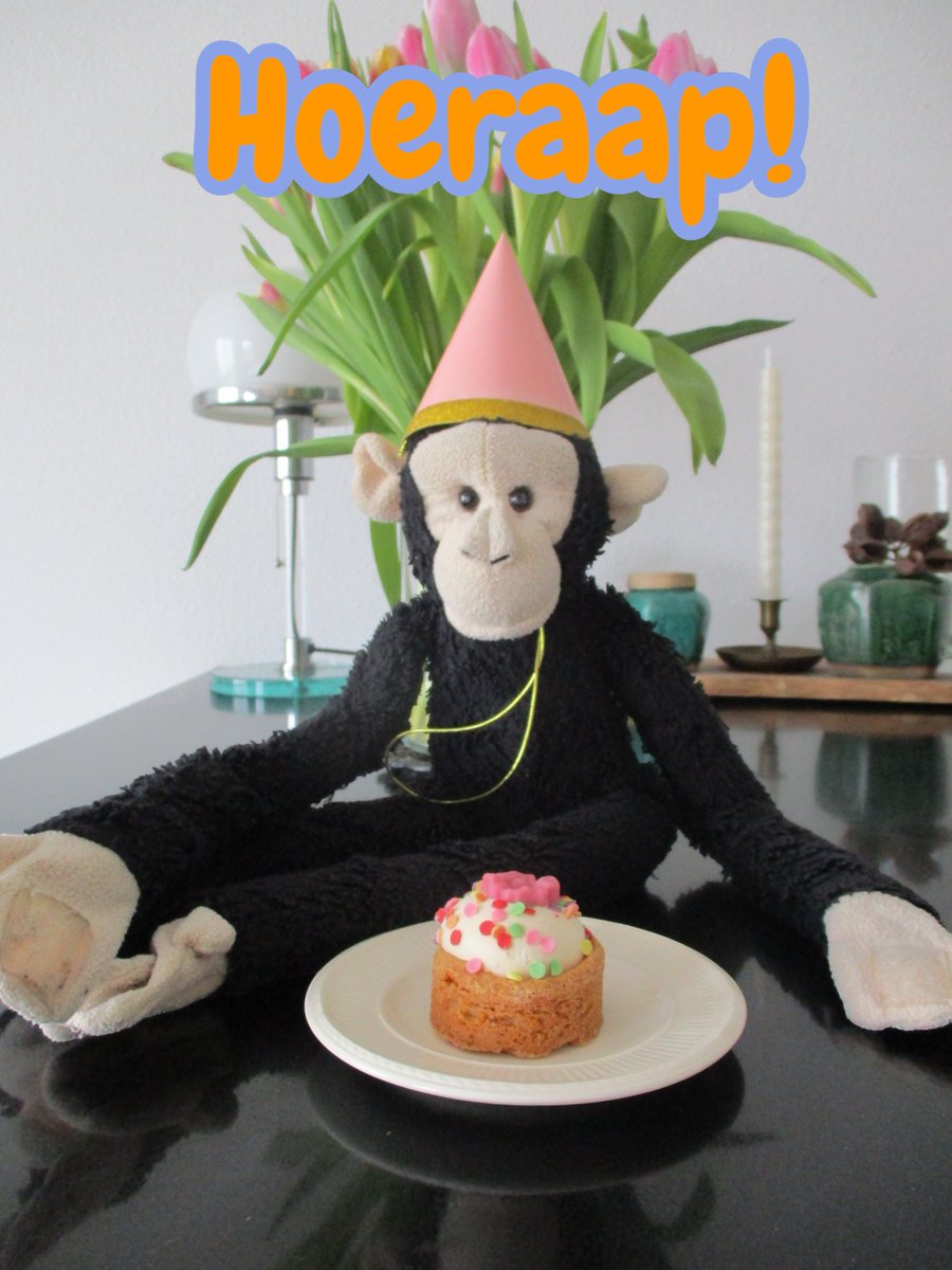 Sjako den Aap 🐵 Mischa 🌈 Toulouse🌈 T. Beer🌈 tweet media