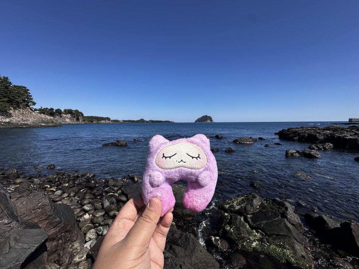 magic on the floor 🪩 tweet media