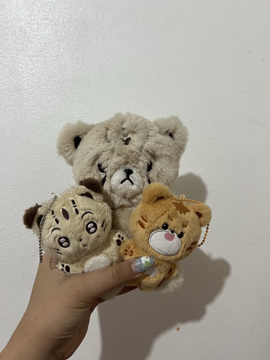 ꒰ঌ sion’s gf ໒꒱ | saw 6wish ! tweet media