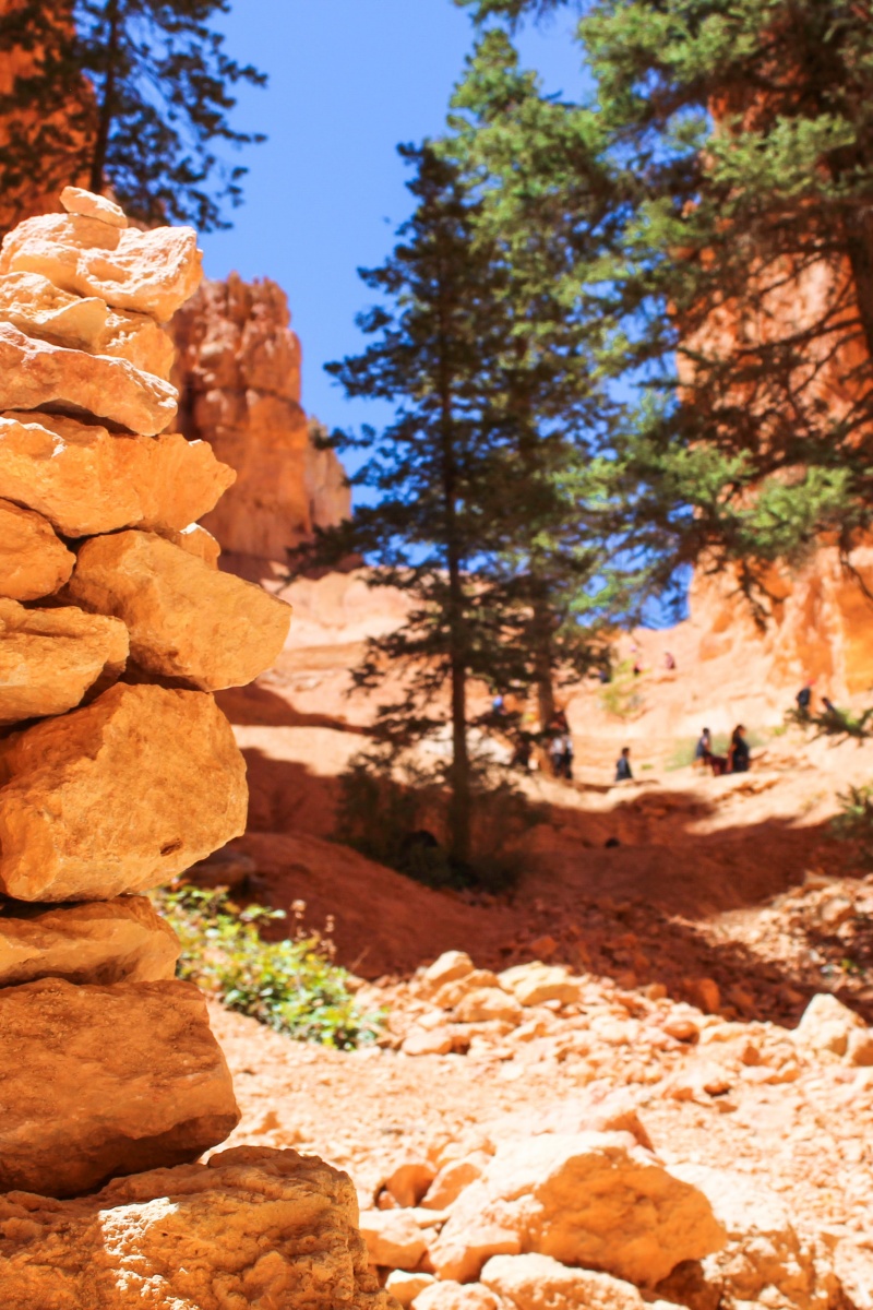 nationalparkexp's tweet image. Into the hoodoo forest we go. 🧡

Who is your favorite hiking buddy? Tag them below 👇 #BryceCanyon #OptOutside