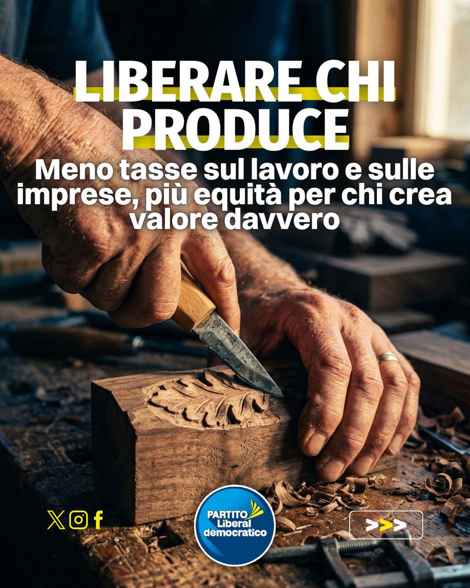 Partito Liberaldemocratico tweet media