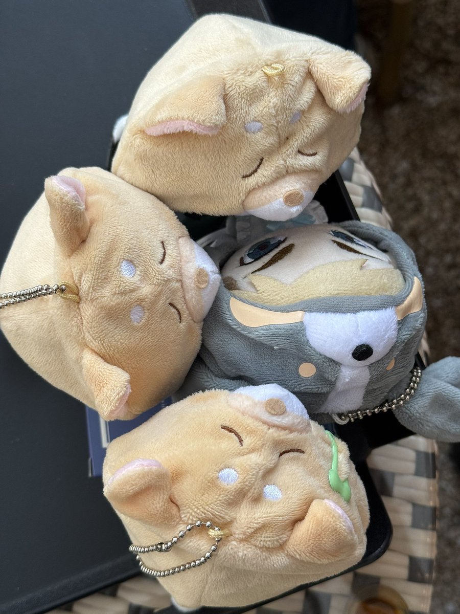 홍차비누 tweet media