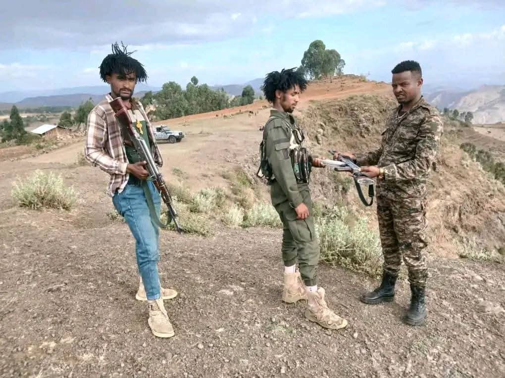 Meredit Fernandez tweet media