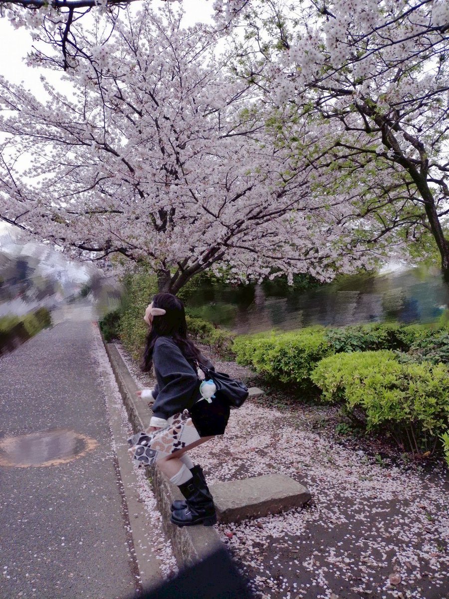 はすみ萌香 tweet media