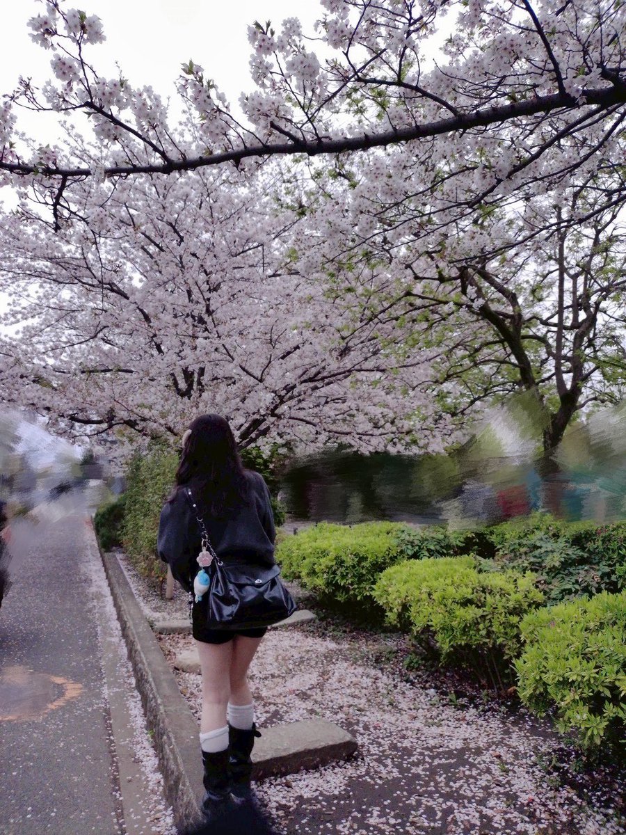 はすみ萌香 tweet media