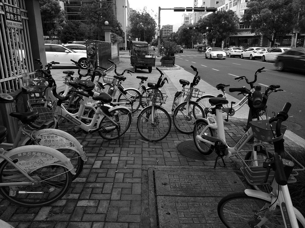 lExperto's tweet photo. Tried the new city bike-sharing app—swipe to unlock, ride smooth, park anywhere. Just 10 mins to my café. Game-changer for daily hops! https://t.co/IUcghsnEpX