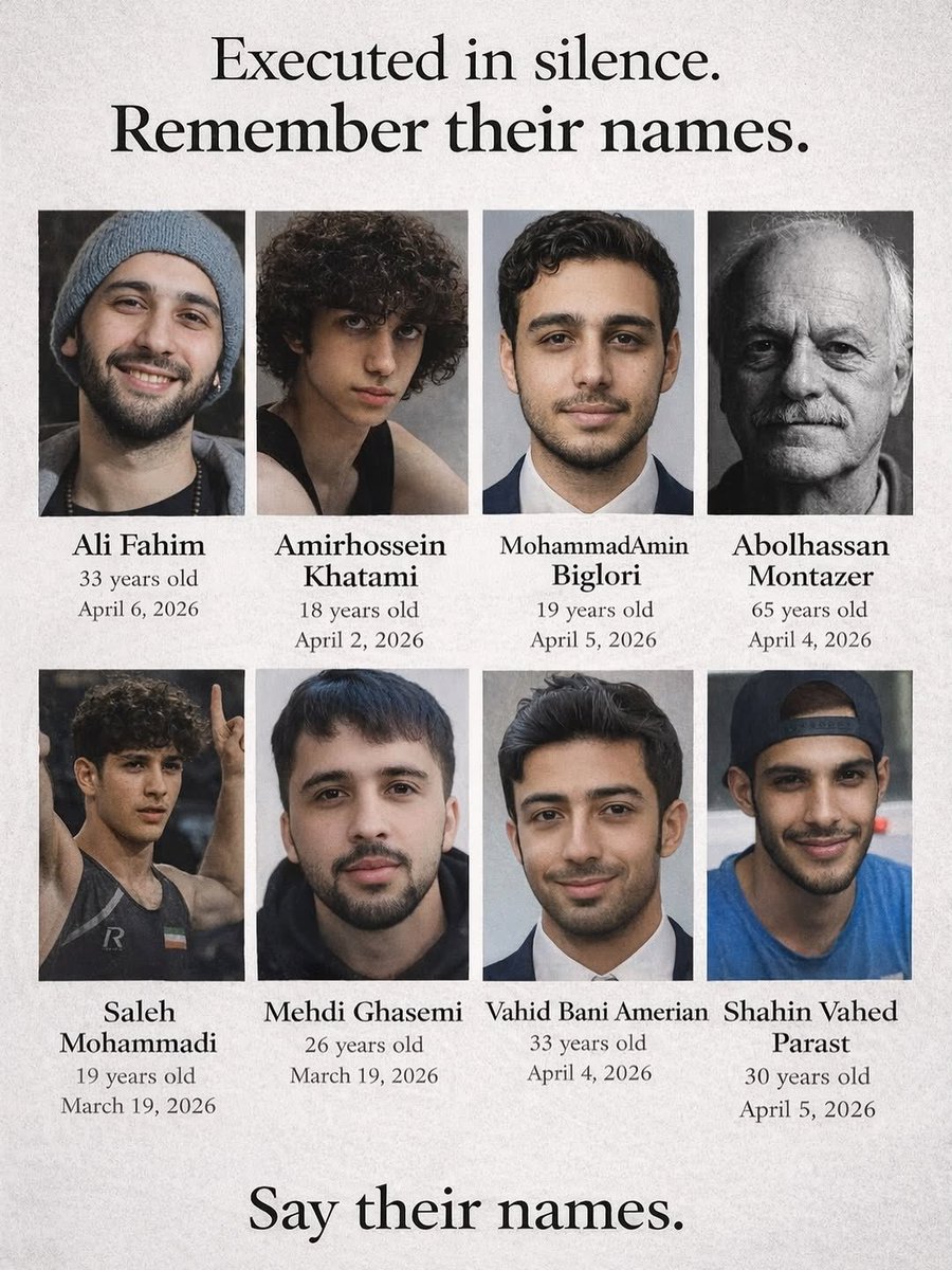 Shermin Amiri tweet media