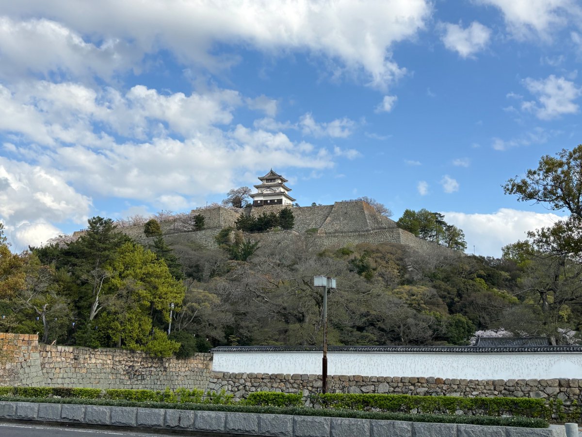 丸亀市観光協会広報担当 tweet media