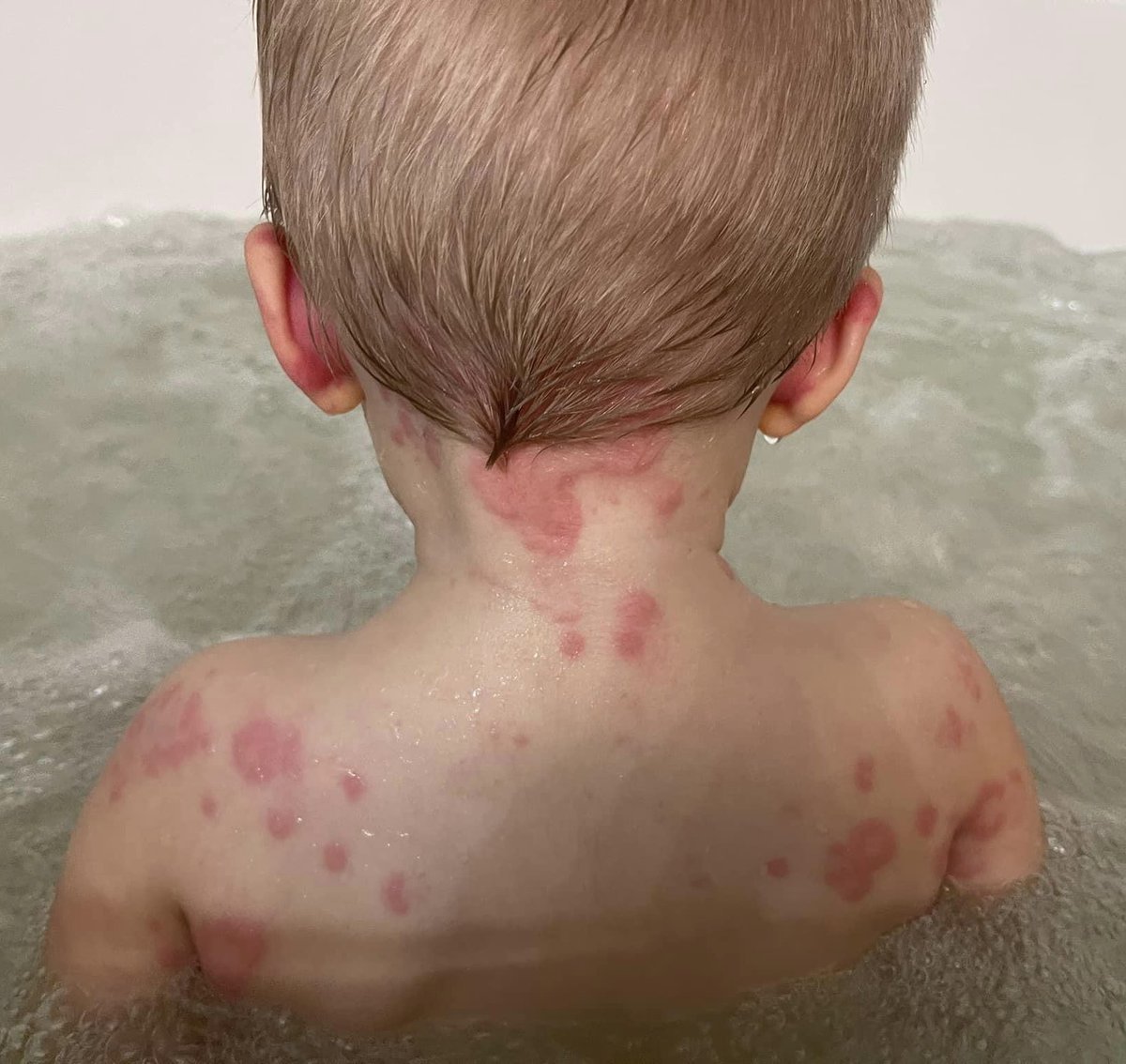 Victims of Capitalism Memorial Foundation tweet media