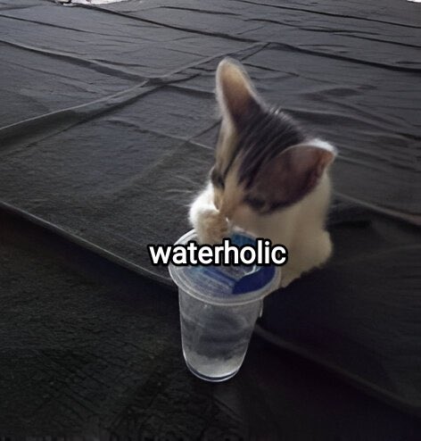 adit , jfb! tweet media