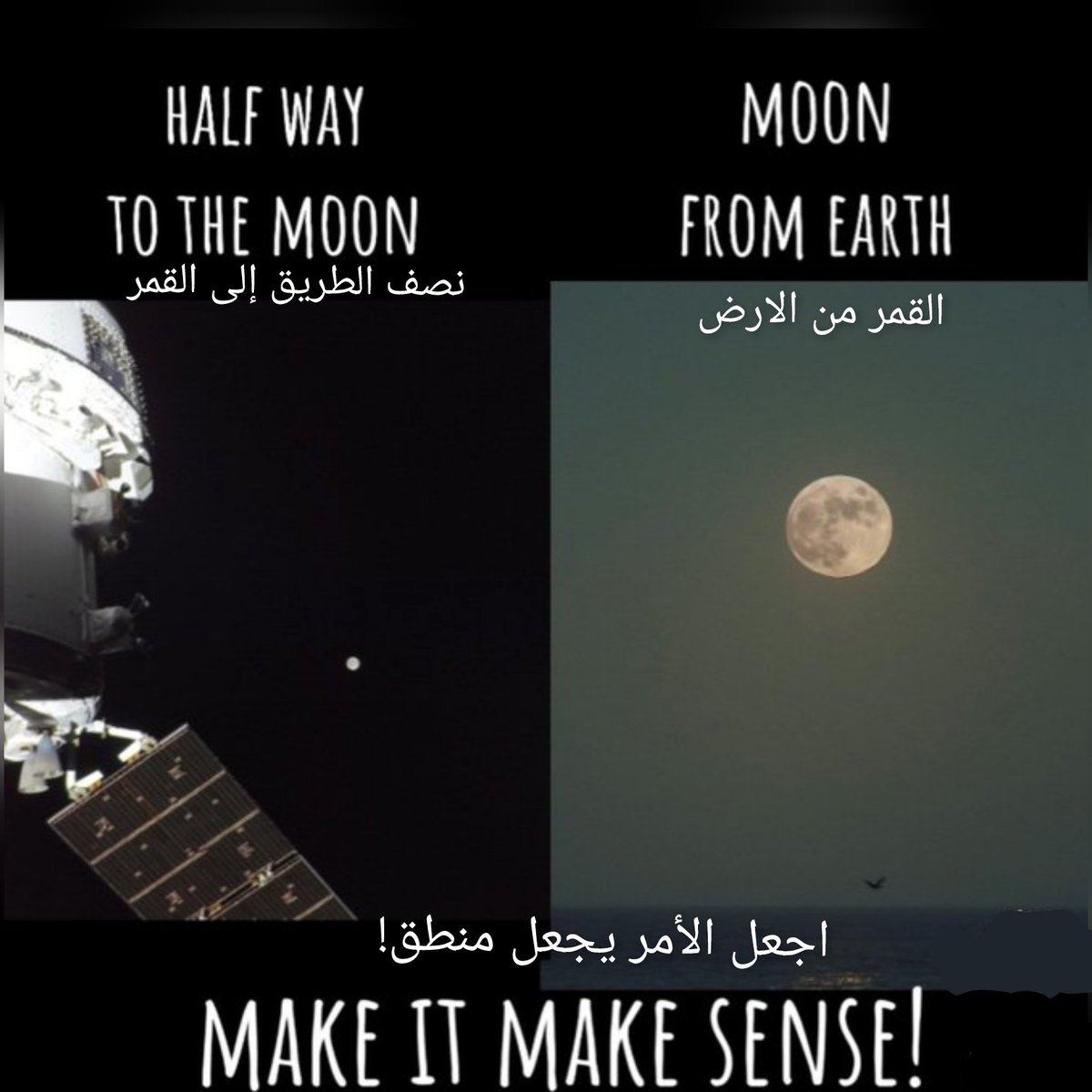 ORGANICQAL tweet media