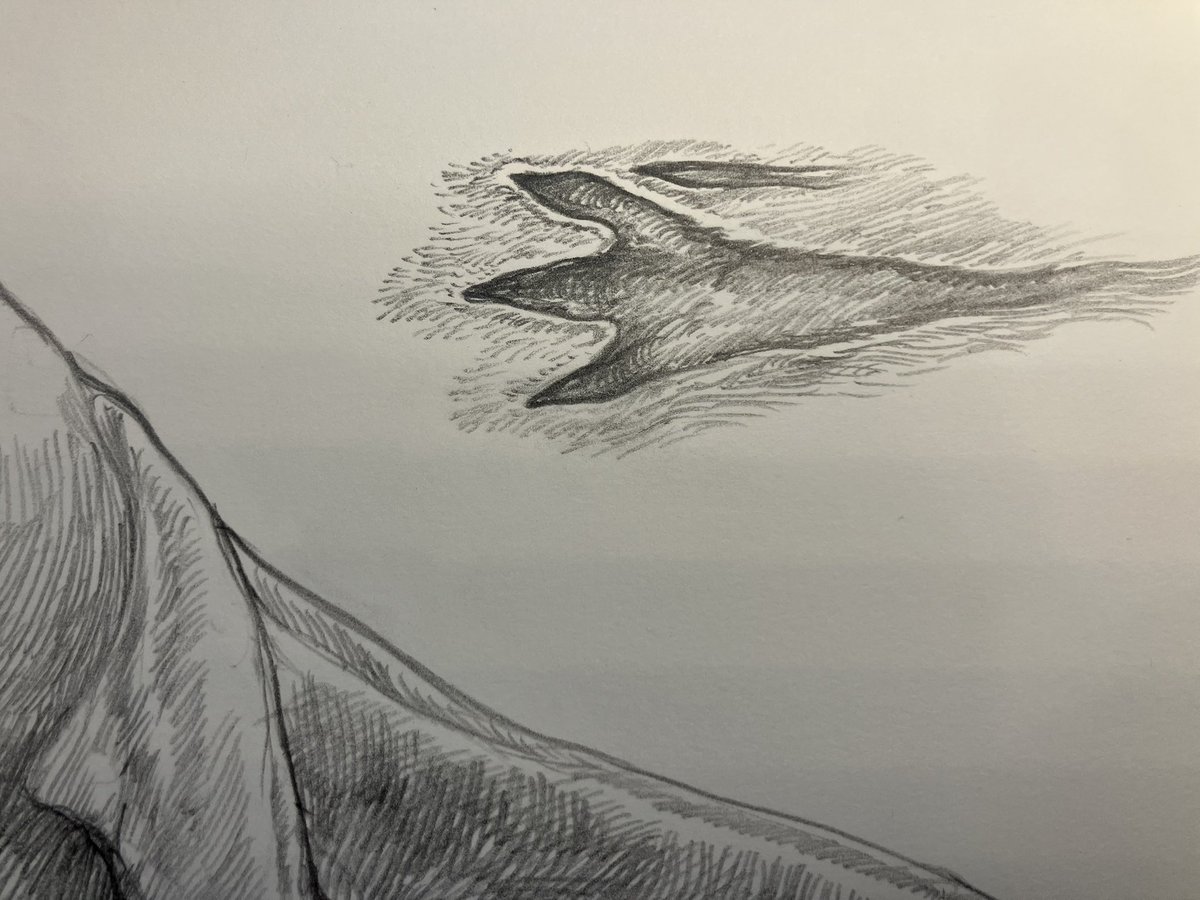 小田　隆　Oda Takashi tweet media