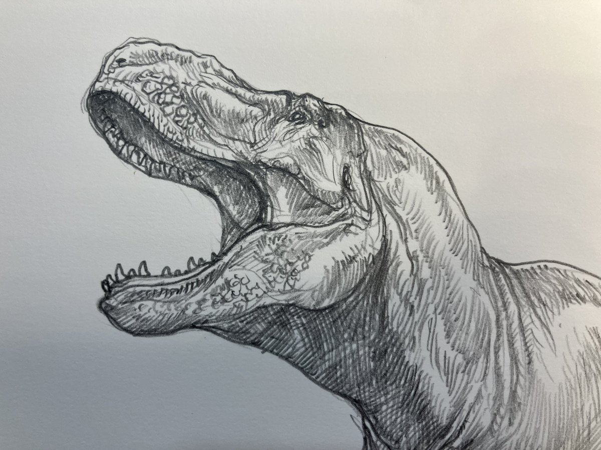 小田　隆　Oda Takashi tweet media