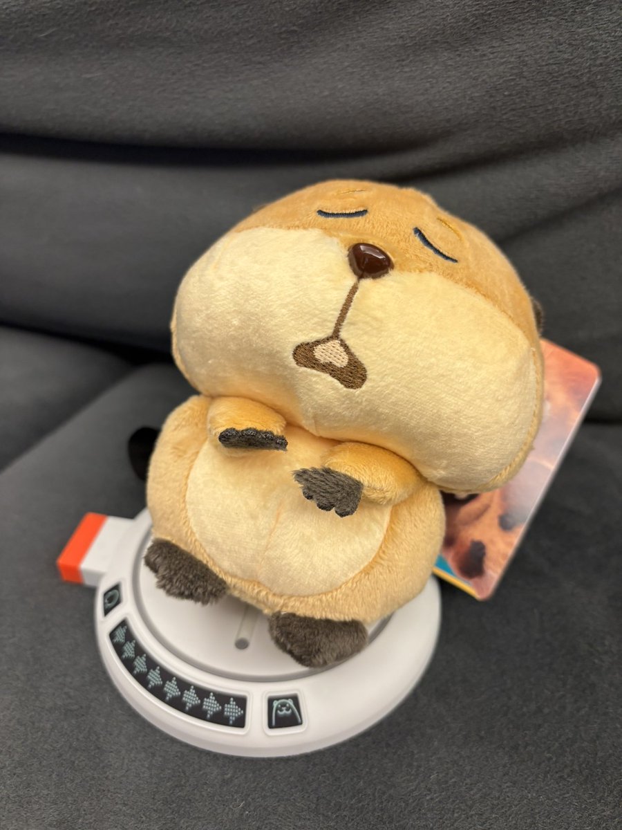 宮田俊哉 tweet media