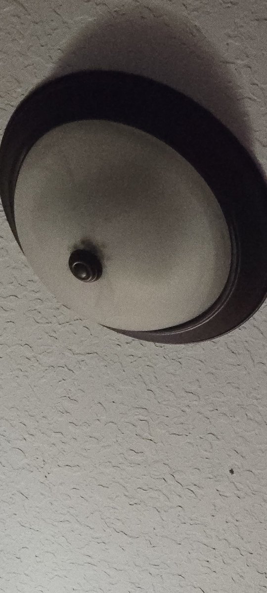 Galactic_Raven tweet media