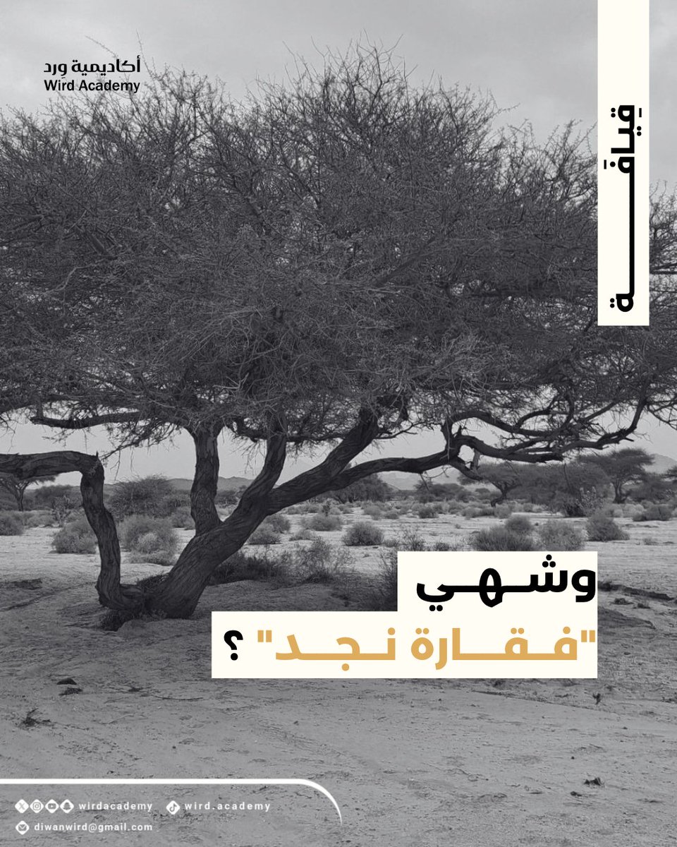 أكاديمية وِرد | Wird Academy tweet media