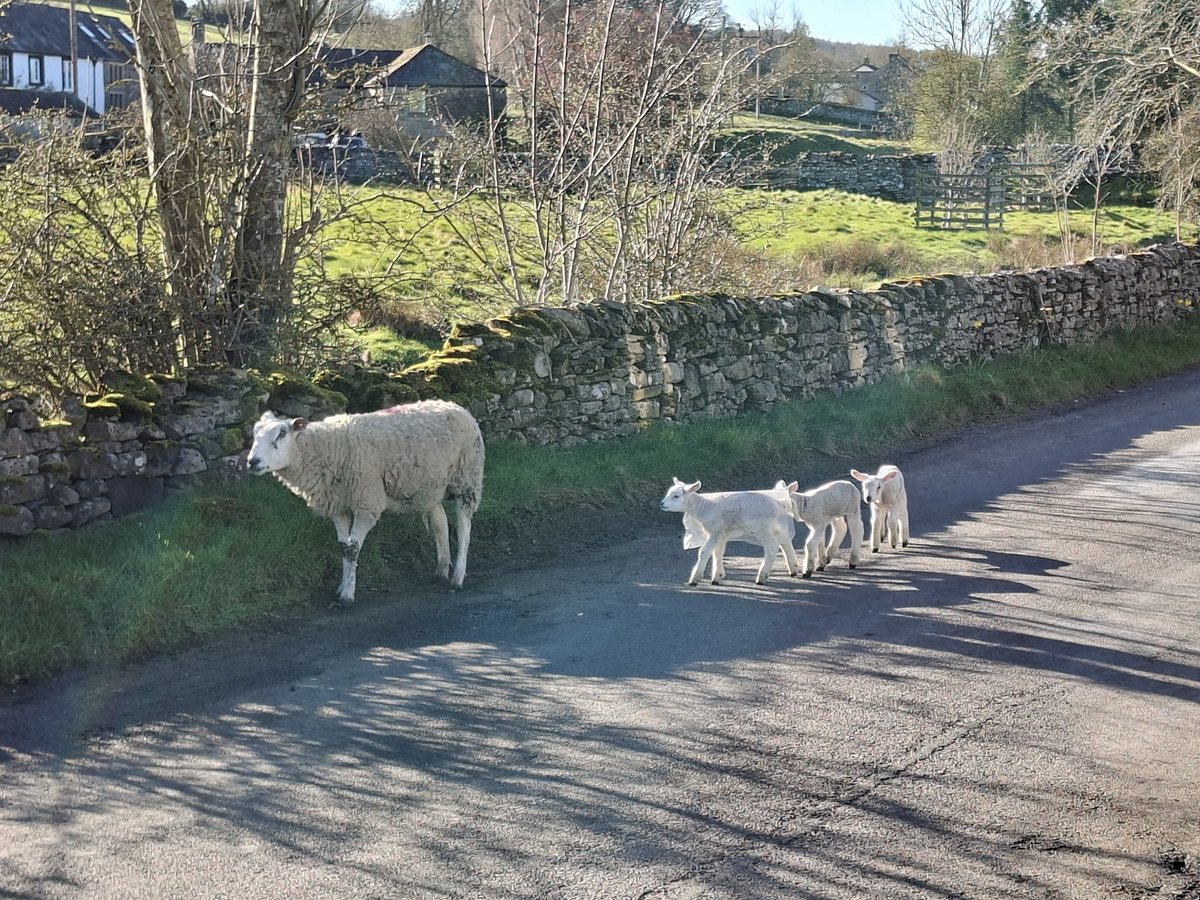 Lord Glenmore tweet media