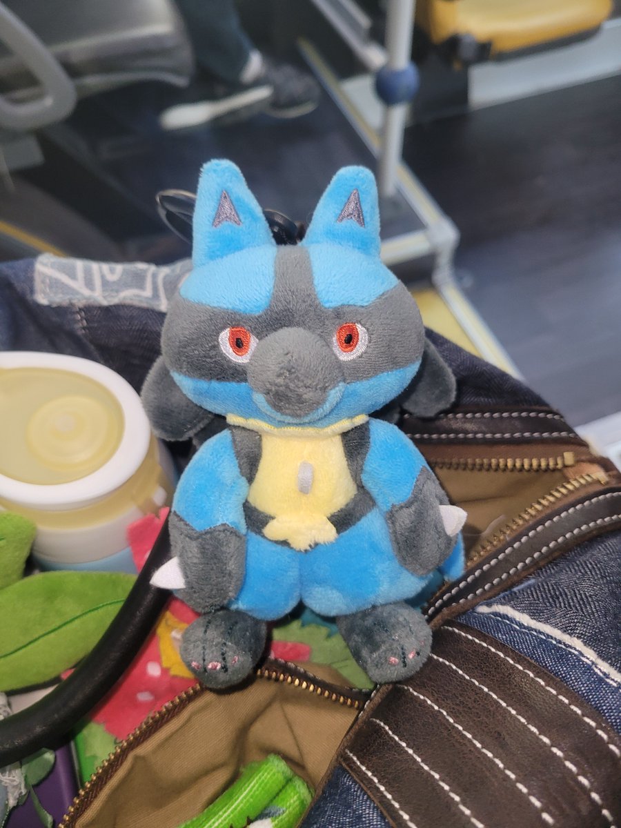 잎사귀먹기 tweet media