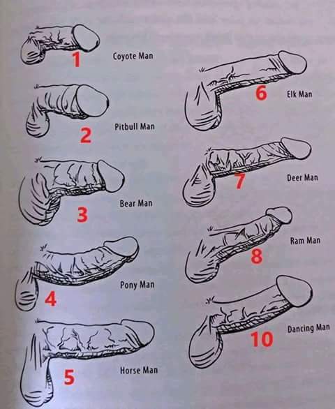 🍁🔥Ariel💋mood tweet media