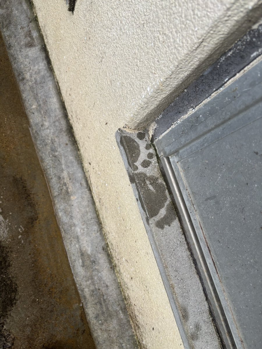 ネオパークオキナワ【公式】 tweet media