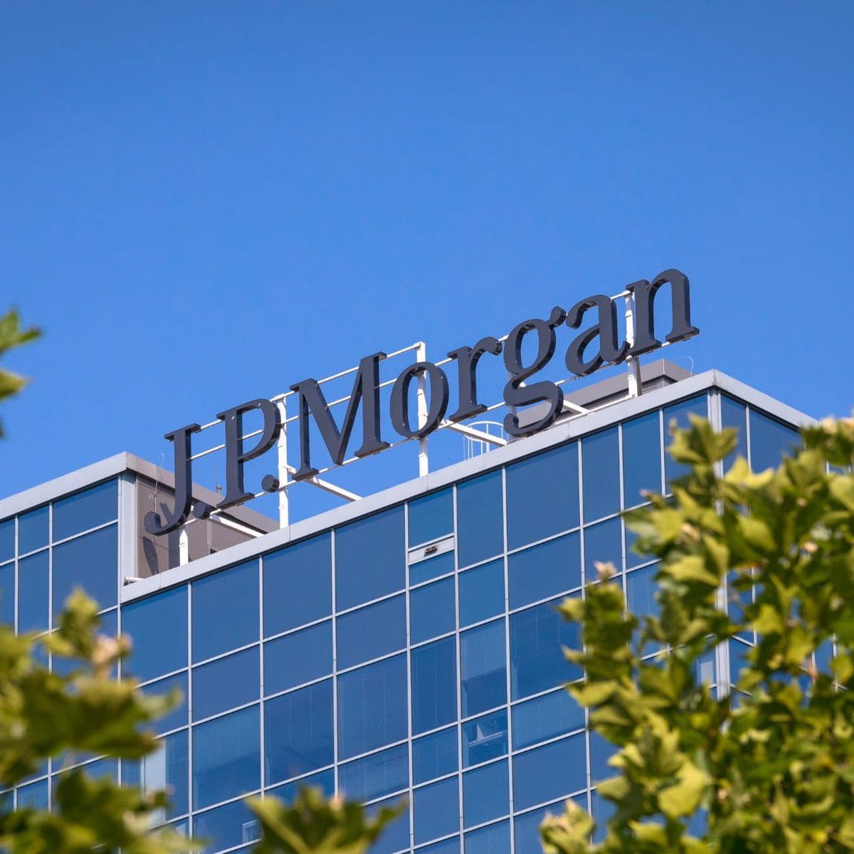 ocaltrader tweet media