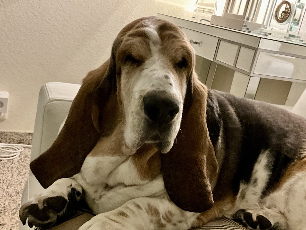 Polly vom Rusteberg tweet media