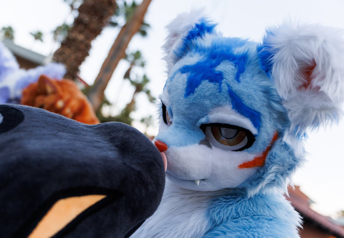 Spacey 》Lvfc, Fwa tweet media