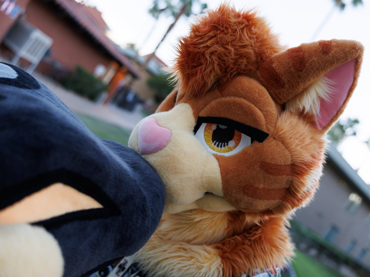 Spacey 》Lvfc, Fwa tweet media