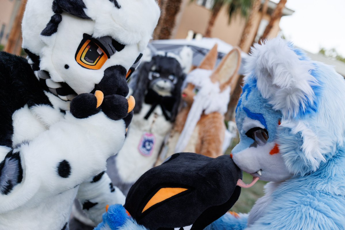 Spacey 》Lvfc, Fwa tweet media