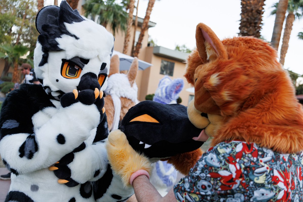 Spacey 》Lvfc, Fwa tweet media