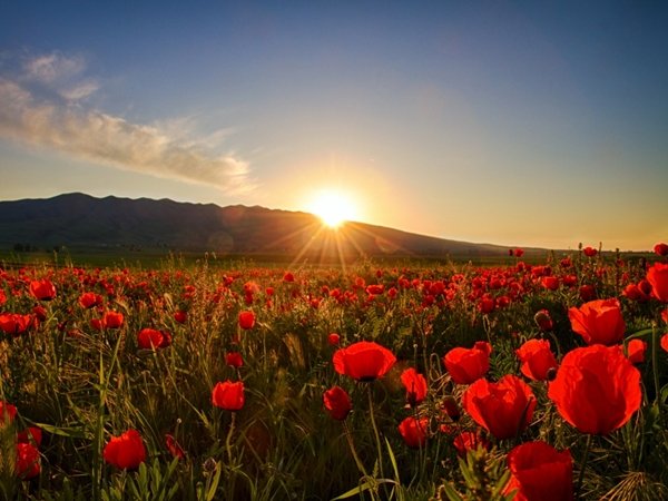 تالي💖🌺 tweet media