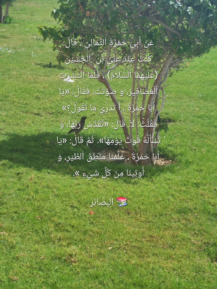 𝐀𝐛𝐮 𝐇𝐚𝐦𝐳𝐚 tweet media