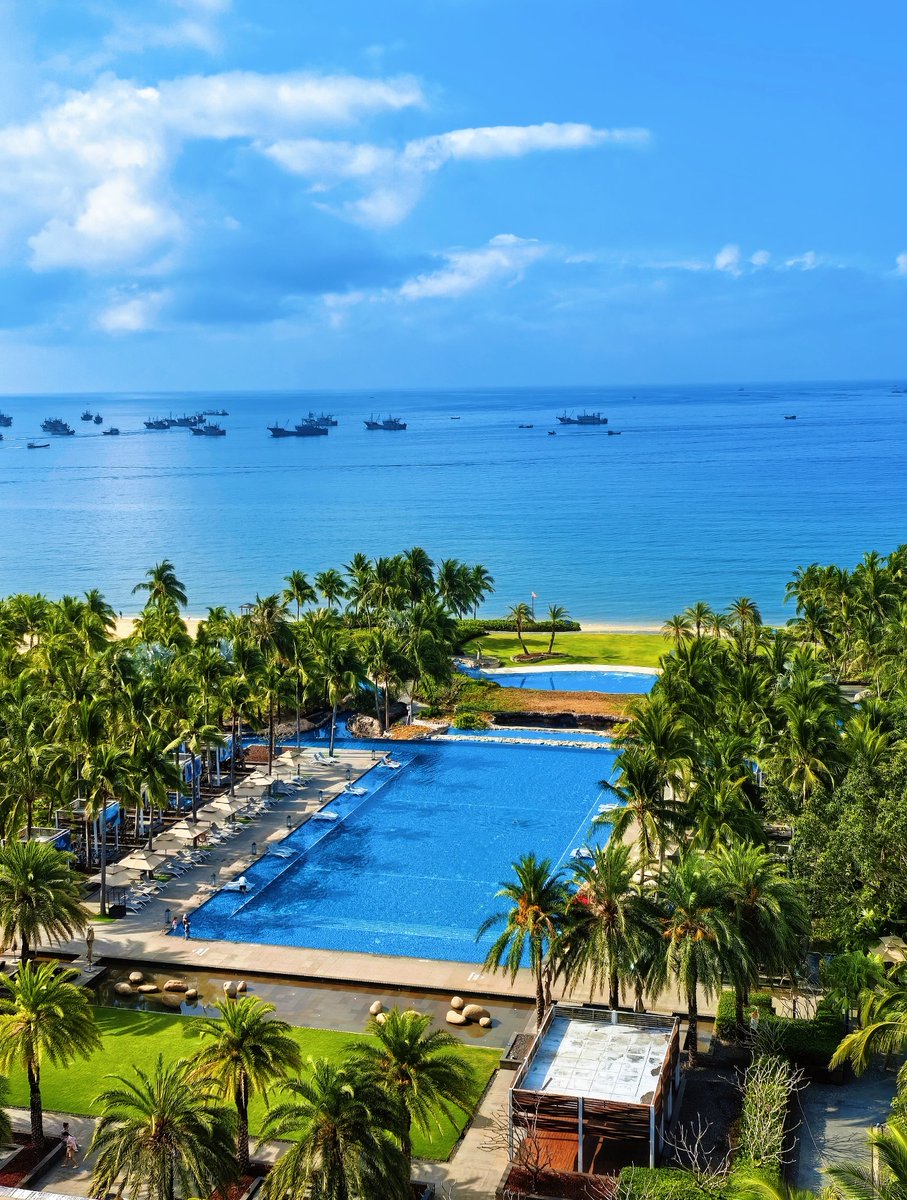 GoSanyaOfficial's tweet image. 🌴 Sanya vibes: a pool, palm trees, and ocean views —pure tropical heaven！ 🌊☀#Sanya #ResortLife #BeachParadise