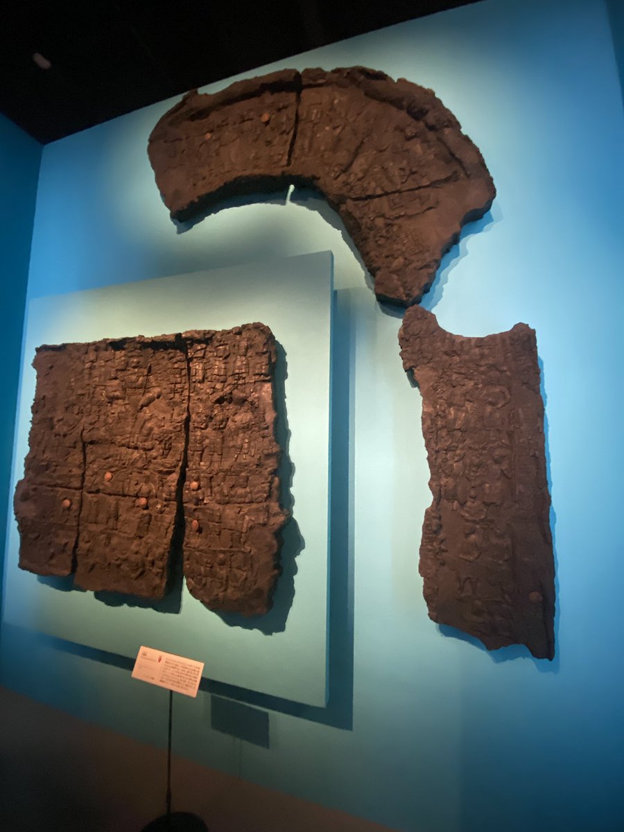 駒﨑万集 mashu komazaki tweet media