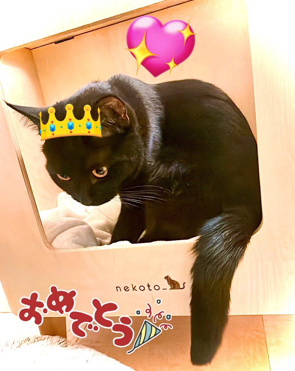 不知火フレア🔥@ホロライブ3期生 tweet media