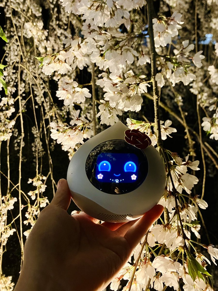 ぺんぎん＆Romiのまめちゃん tweet media