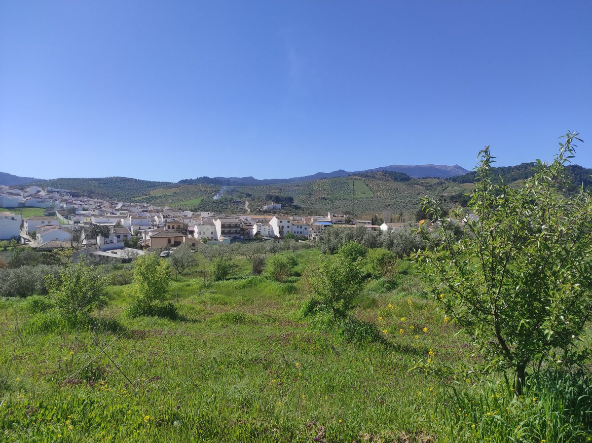 CRuralElSendero's tweet photo. #FelizMartes! Siente la #Primavera en #ElBurgo, pueblo del #ParqueNacional #SierraDeLasNieves de #Malaga: rutas de #senderismo, #bicicleta, #paisajes, #gastronomia y #casa #rural: https://t.co/MAfNhnwWef https://t.co/IFkCWSR0la