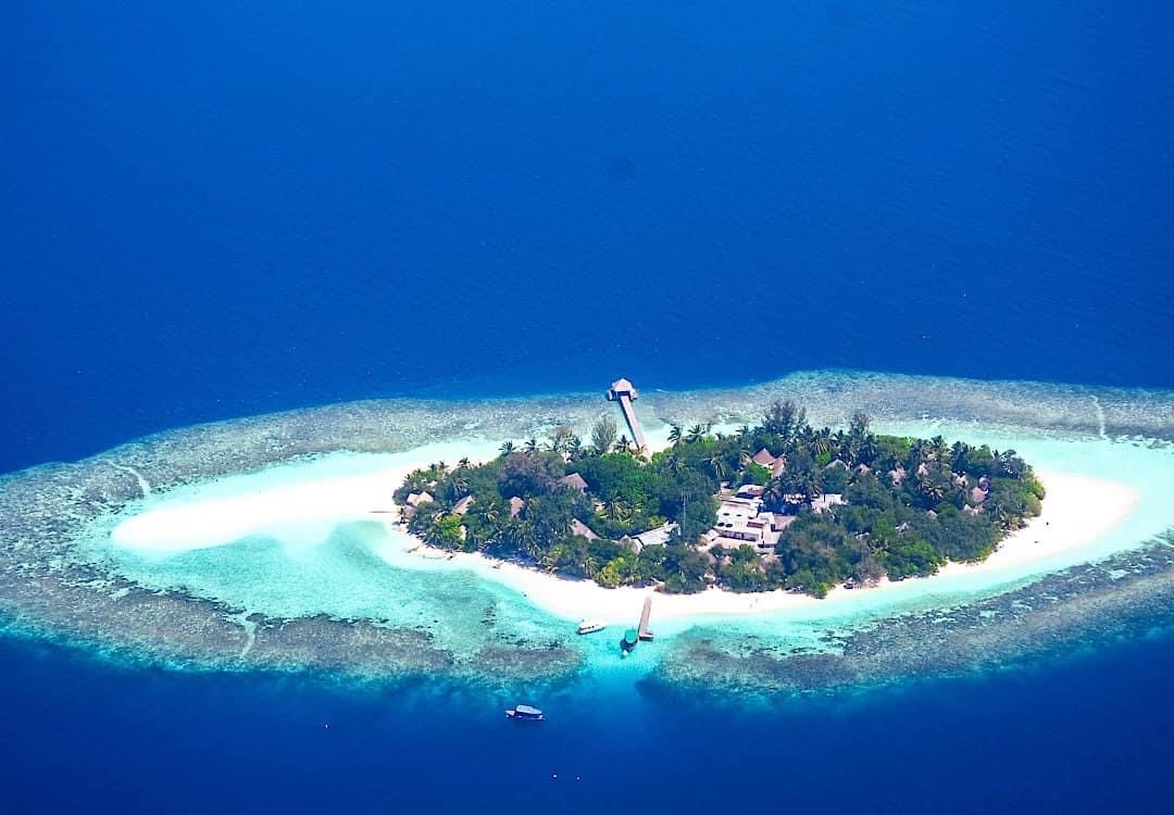 OBSERVERTIMES2's tweet image. CLIMATE CHANGE: IMPACT ON ISLAND RESOURCE SYSTEMS

Read More:

observertimes.in/index.php/2023…

#climatechange #ClimateCrisis #cop28 #climateaction #ClimateDisplacement #environmentaljustice #ENVIOS #ActNow #environmentallyfriendly #ActNow #ActNowForFuture #ActNowOnClimate