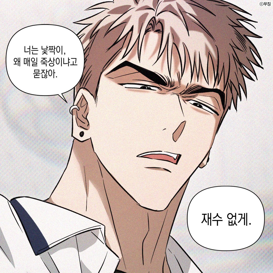 미스터블루 tweet media