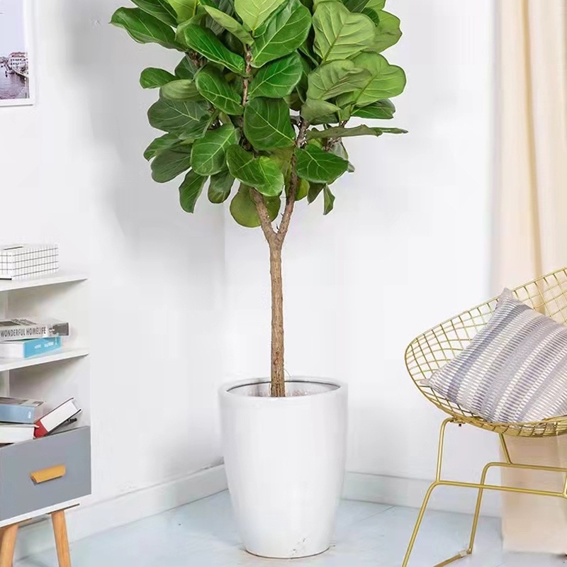 Mathieu Rocha tweet media