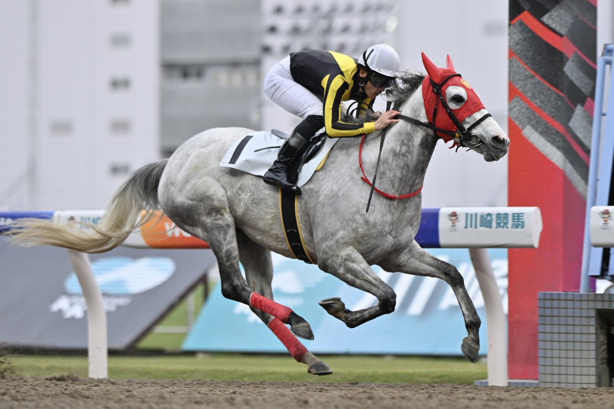 長友豊厩舎 tweet media