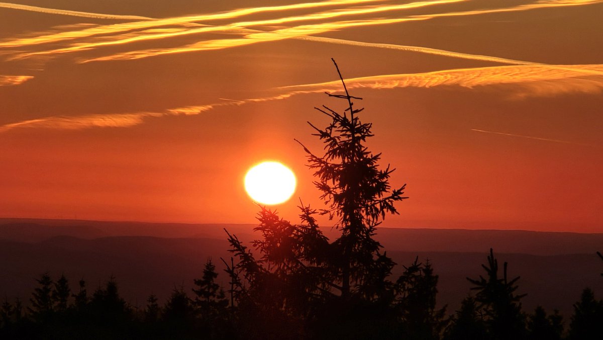 Ormuz 🕊 tweet media