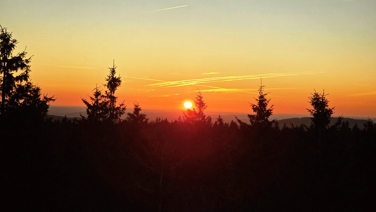 Ormuz 🕊 tweet media