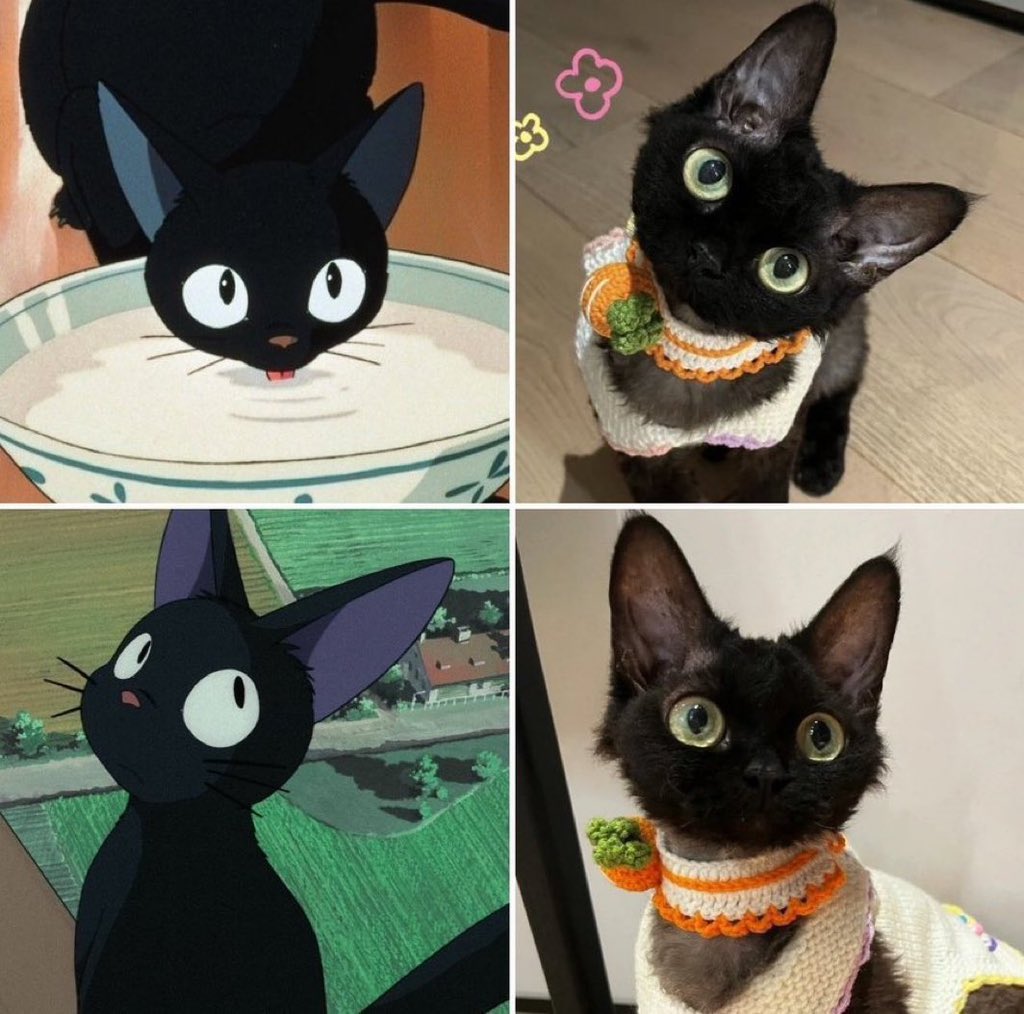 癒される動物 tweet media